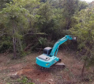 aerial view of the deforestation 2025 06 05 20 33 20 utc